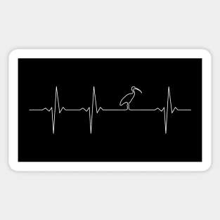 Bin Chicken Electrocardiogram Sticker